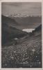 Schweiz - Les Avants - Dents du Midi - ca. 1950