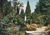 Bad Pyrmont - Palmengarten - 1968