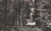 Eutin - Holst. Schweiz - Durchblick zum Ukleisee - ca. 1955