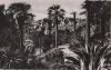 Frankreich - Grasse - Un coin du parc - ca. 1960