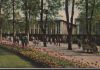 Bad Mergentheim - Kurpark - 1975