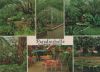 Vorschaubild: Walsrode - Paradieshalle im Vogelpark - 1971 Walsrode - Paradieshalle im Vogelpark - 1971