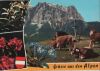 Österreich - Alpen - Grüsse - 1979